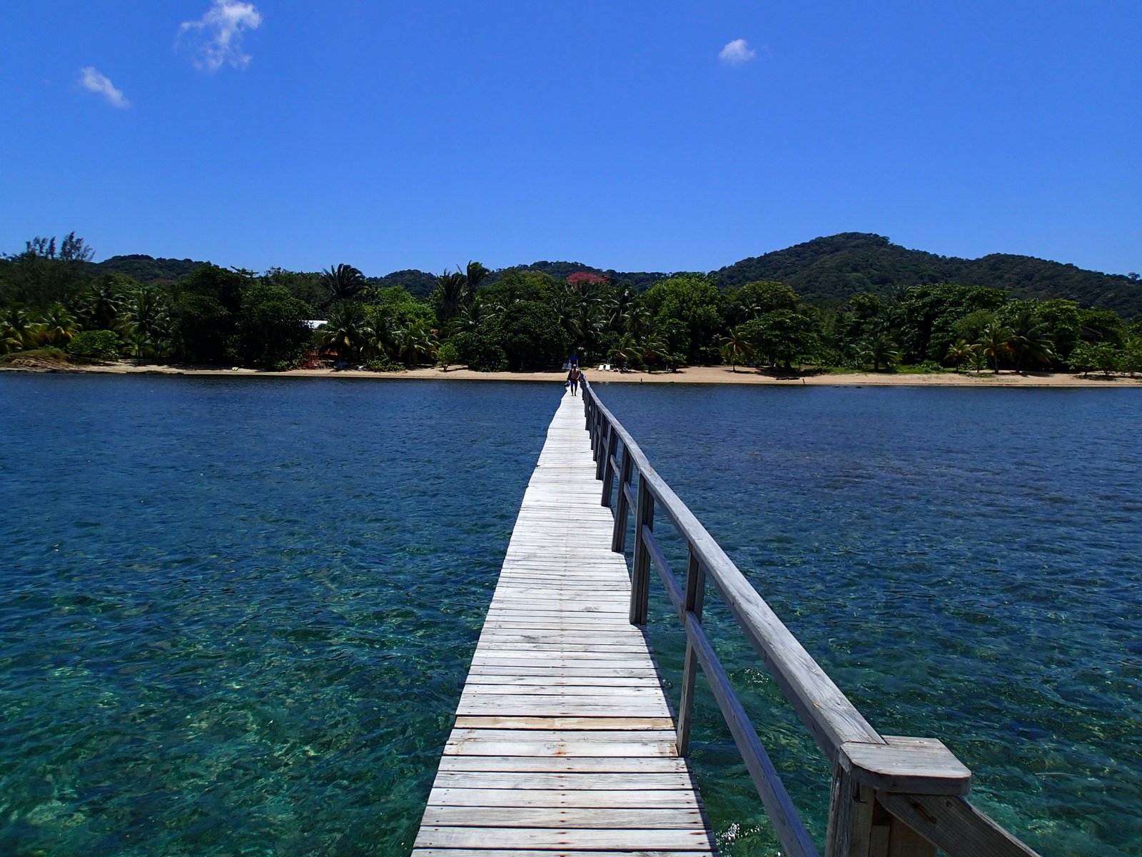 Costa turquesa de Roatán